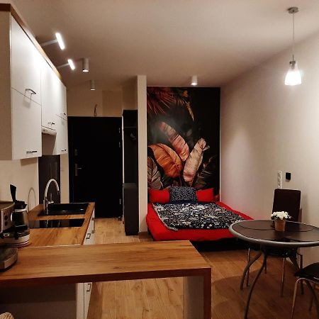 Apartament pod Szyndzielnią, Dębowiec Bielsko-Biała Zewnętrze zdjęcie