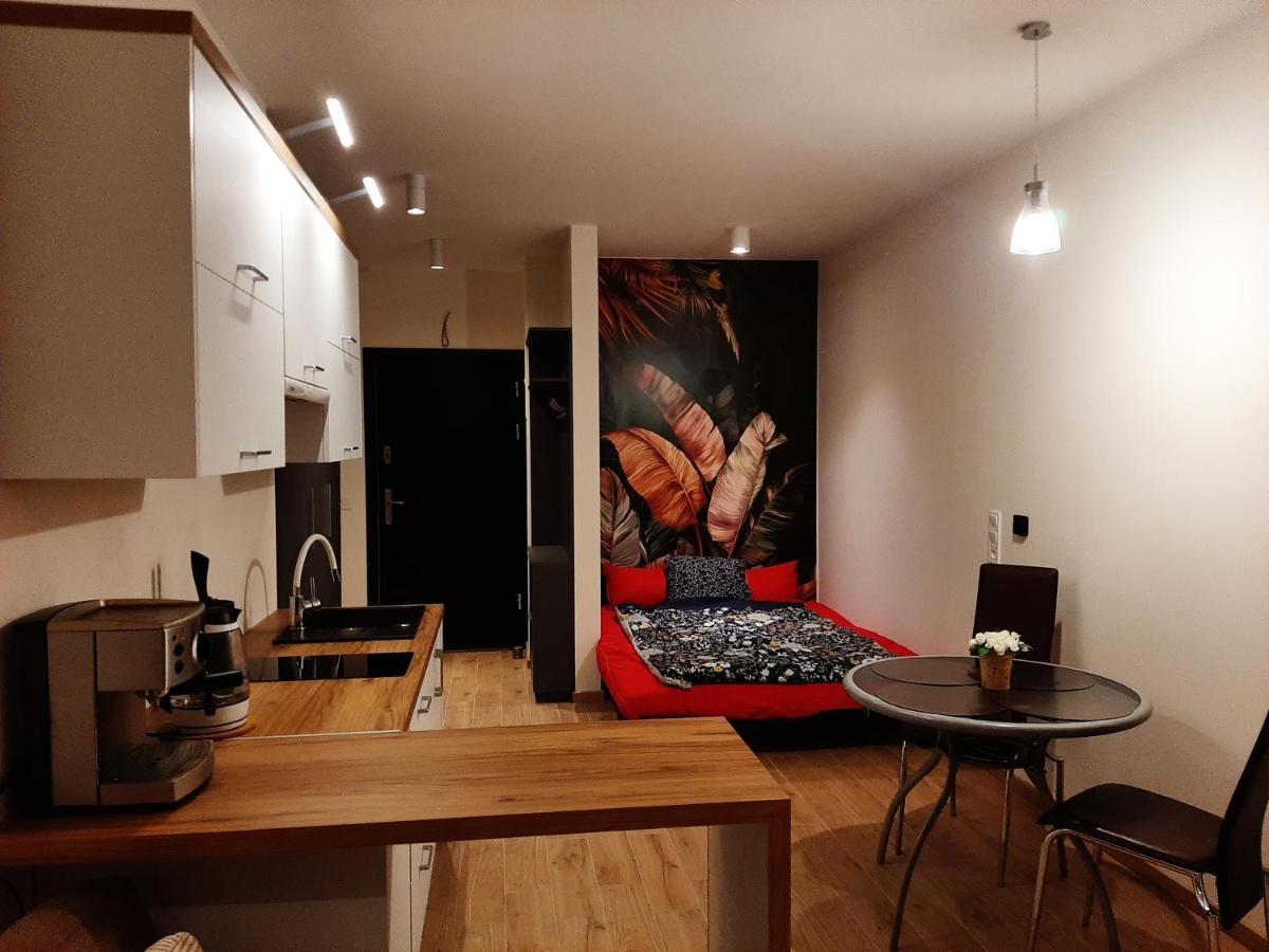 Apartament pod Szyndzielnią, Dębowiec Bielsko-Biała Zewnętrze zdjęcie