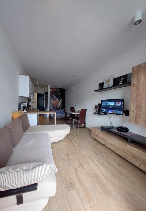 Apartament pod Szyndzielnią, Dębowiec Bielsko-Biała Zewnętrze zdjęcie