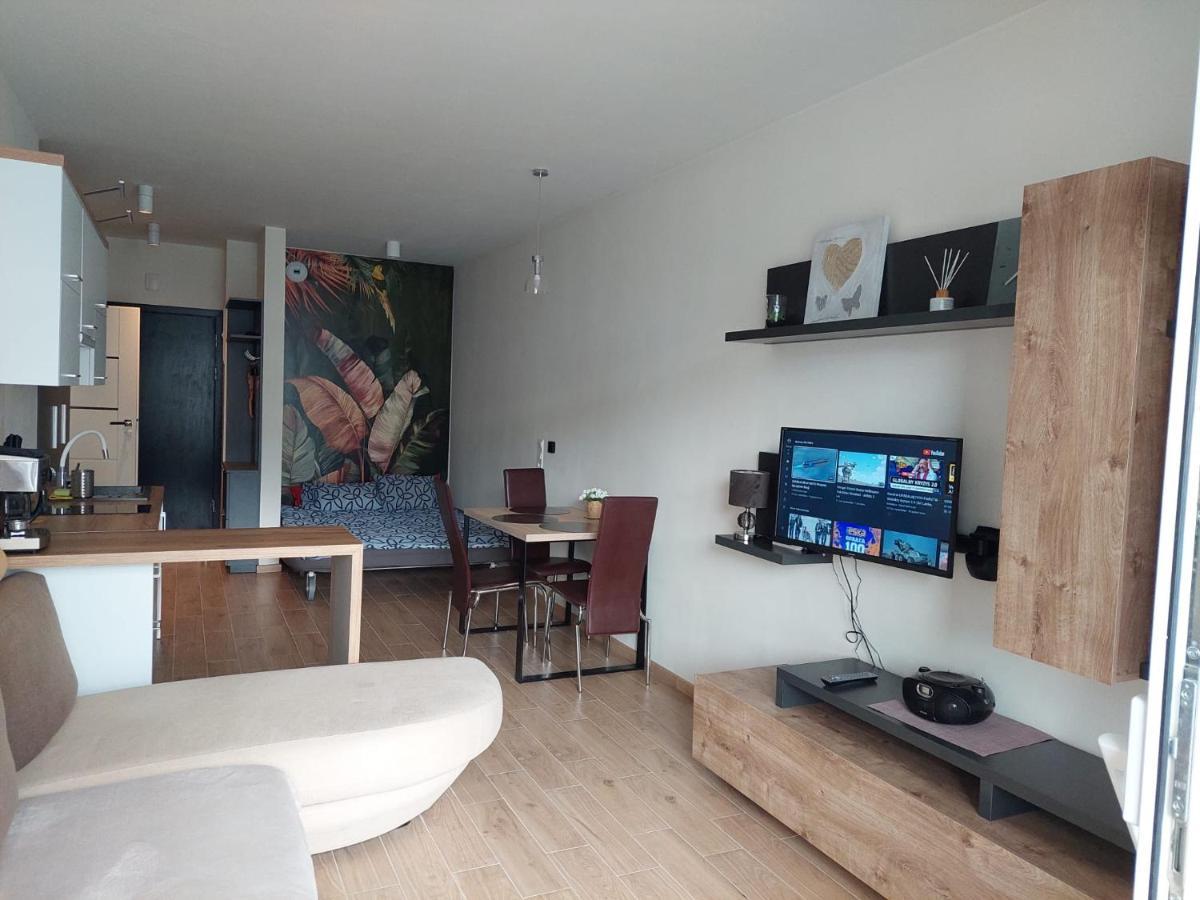 Apartament pod Szyndzielnią, Dębowiec Bielsko-Biała Zewnętrze zdjęcie